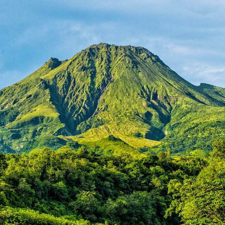 La montagne Pelée et la forêt du nord